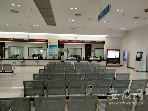 虎年開工首日探訪 安徽省政務服務中心窗口人員堅守崗位，熱情服務暖人心